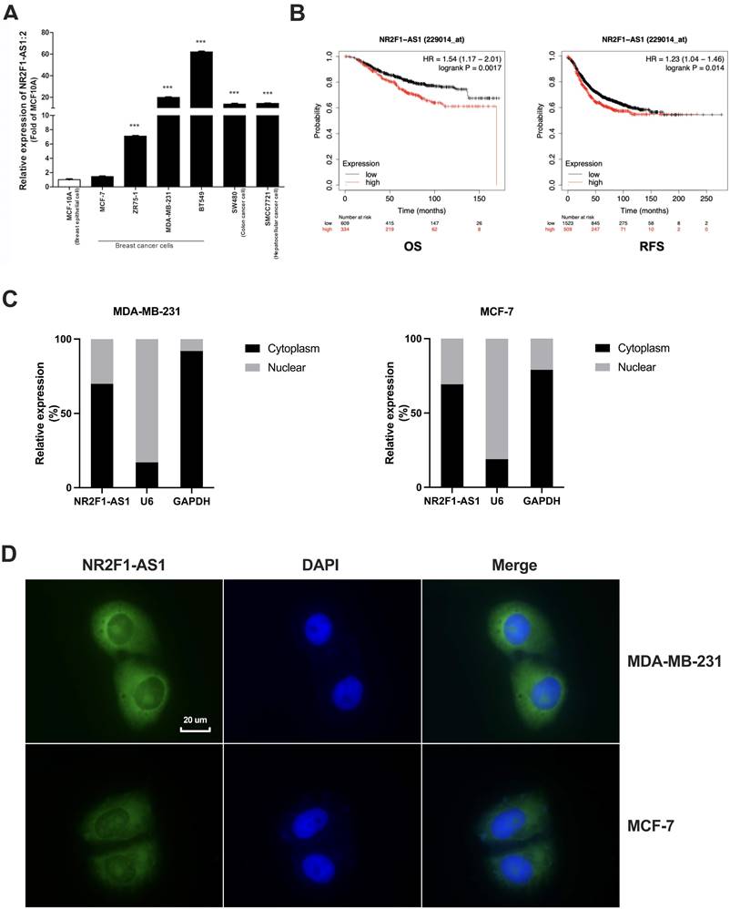 Int J Med Sci Image