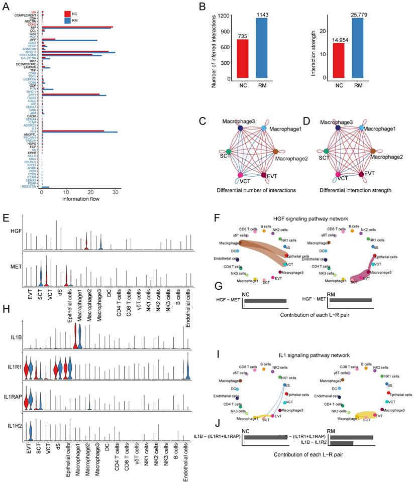 Int J Med Sci Image