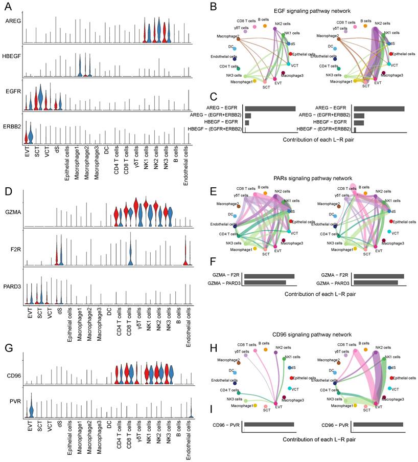 Int J Med Sci Image