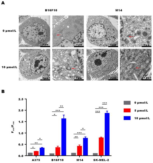 Int J Med Sci Image