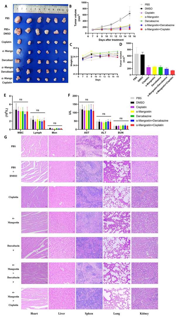 Int J Med Sci Image