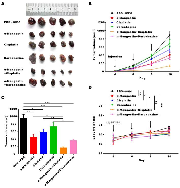 Int J Med Sci Image