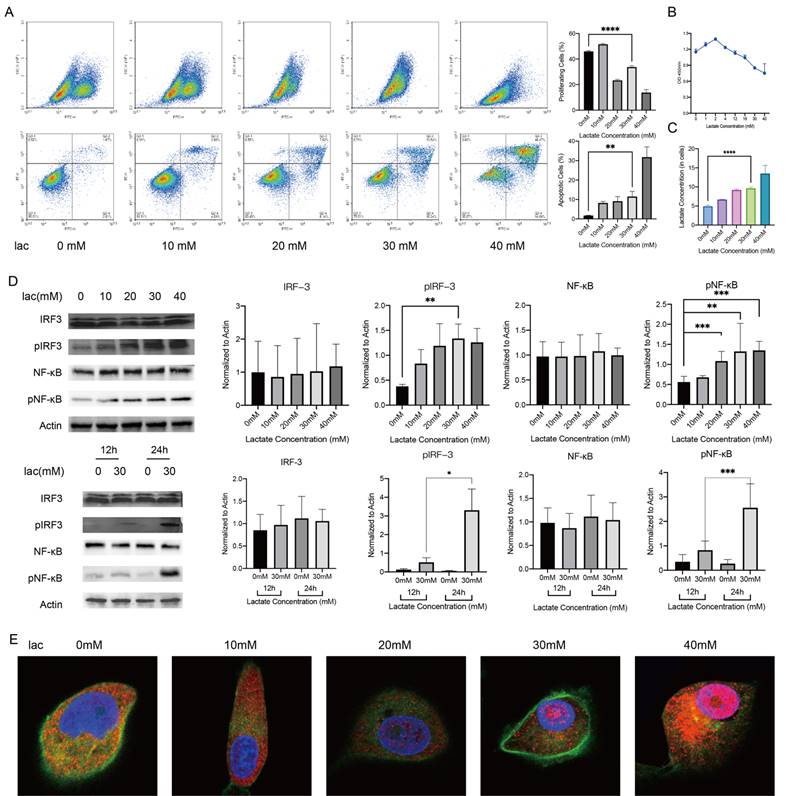 Int J Med Sci Image