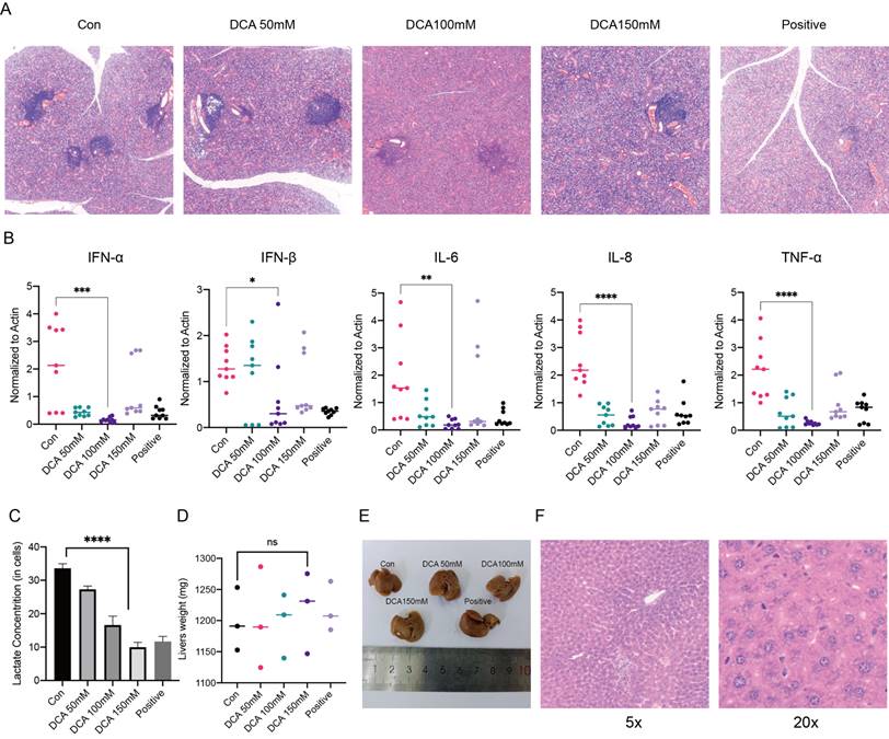 Int J Med Sci Image