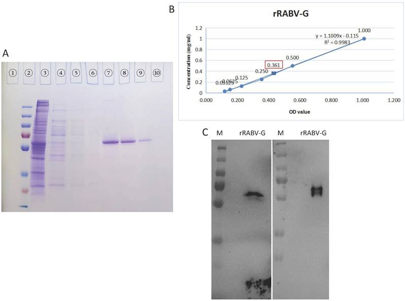 Int J Med Sci Image