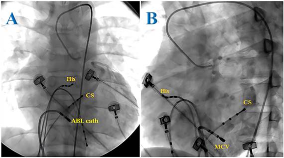 Int J Med Sci Image