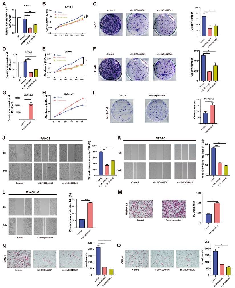 Int J Med Sci Image