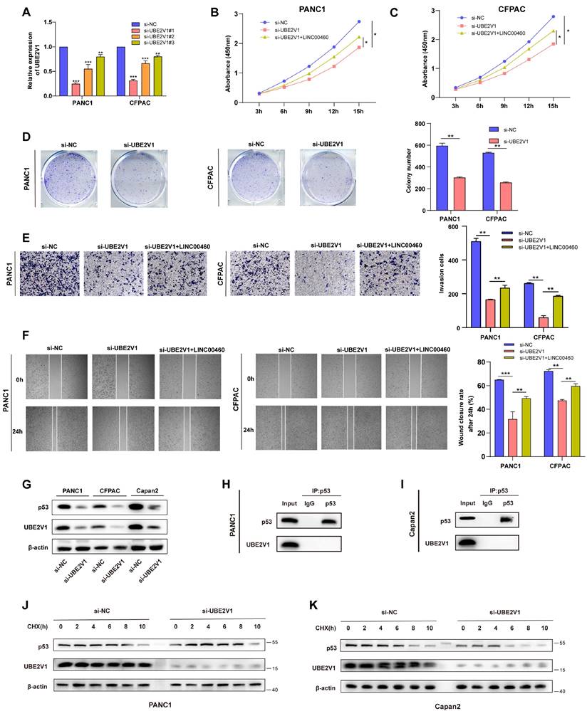 Int J Med Sci Image