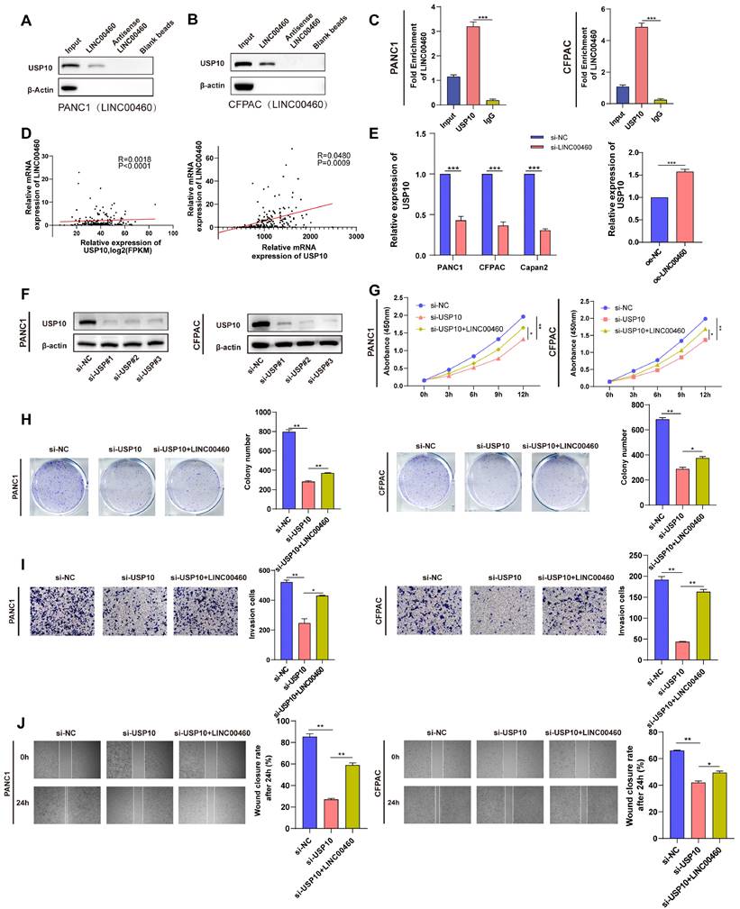 Int J Med Sci Image