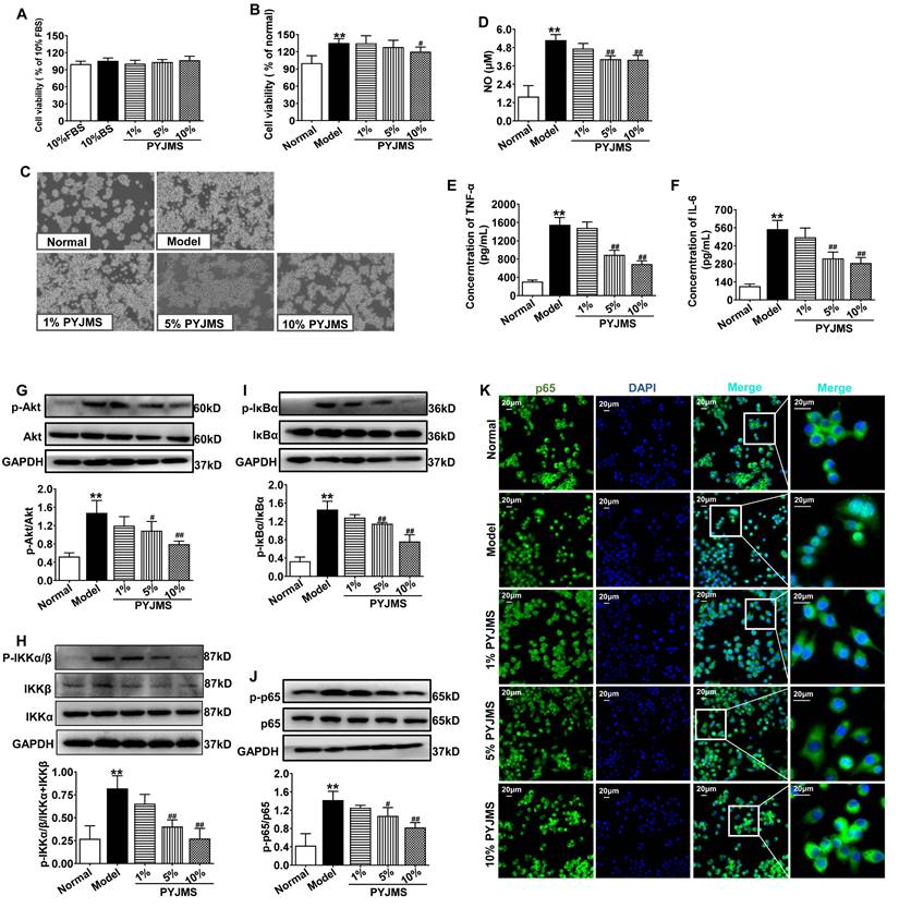 Int J Med Sci Image