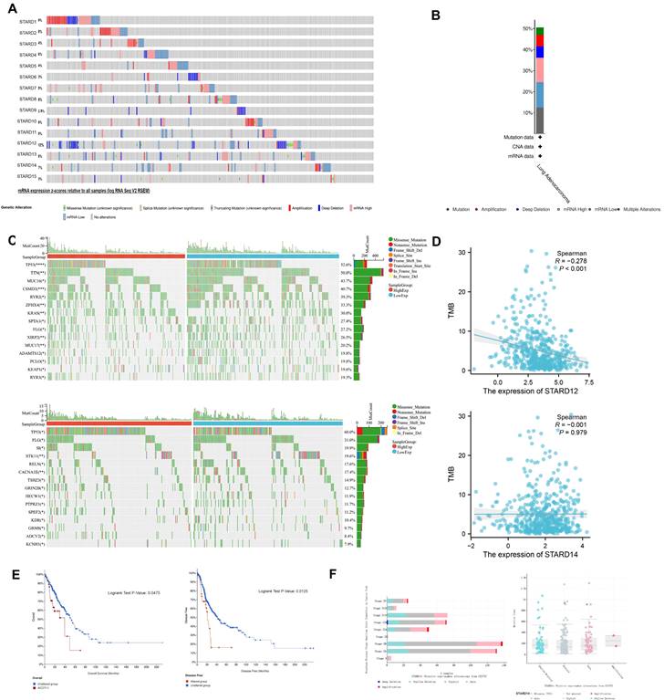 Int J Med Sci Image