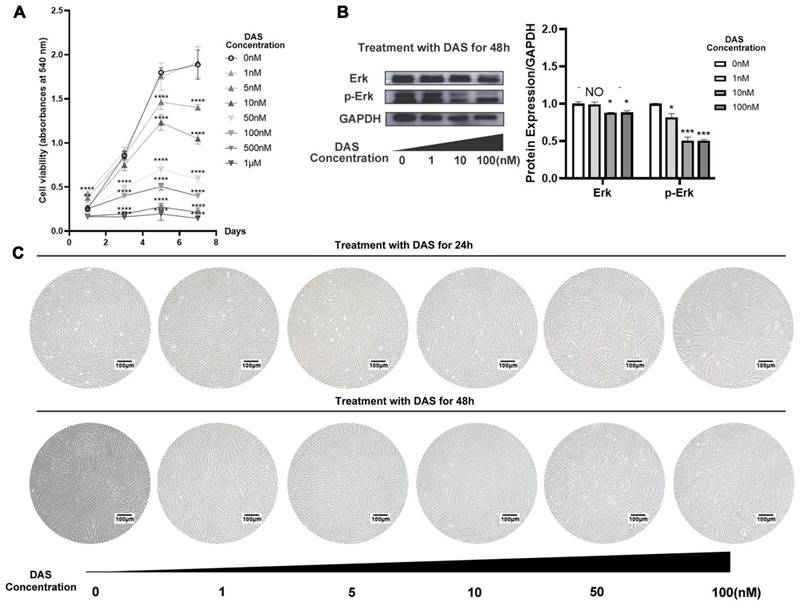 Int J Med Sci Image