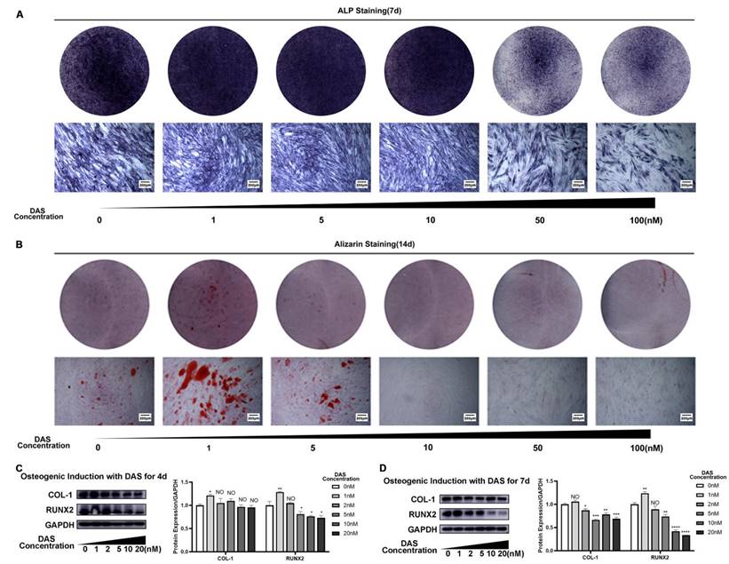 Int J Med Sci Image