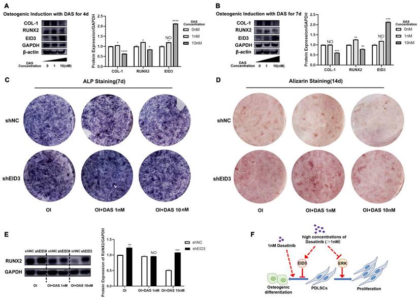 Int J Med Sci Image