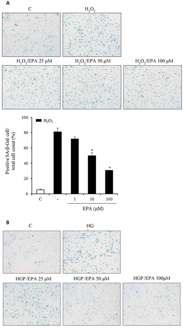 Int J Med Sci Image