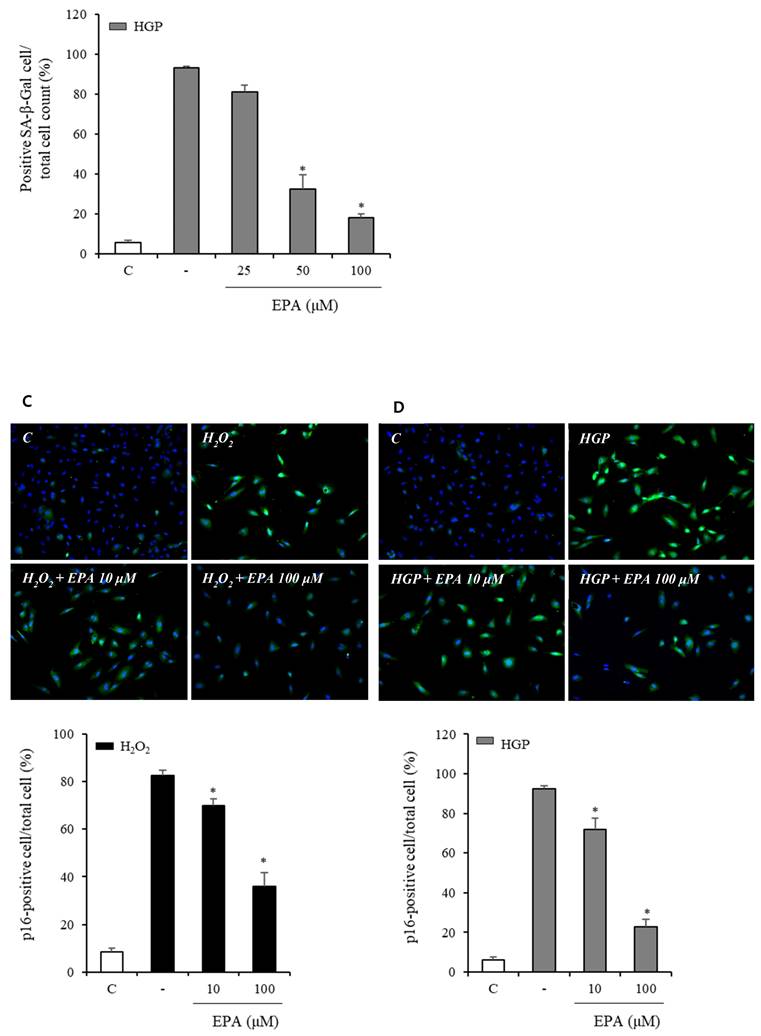 Int J Med Sci Image