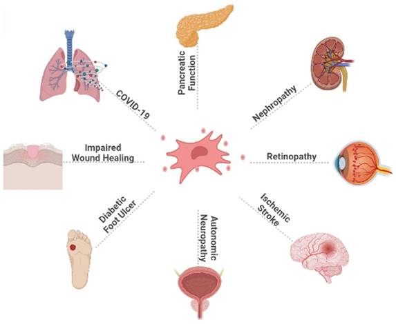 Int J Med Sci Image