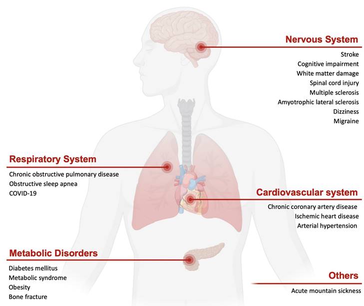 Int J Med Sci Image