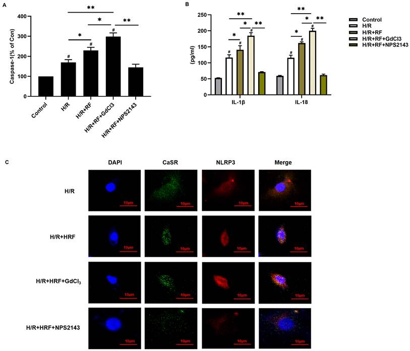 Int J Med Sci Image