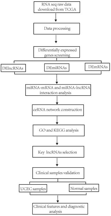 Int J Med Sci Image
