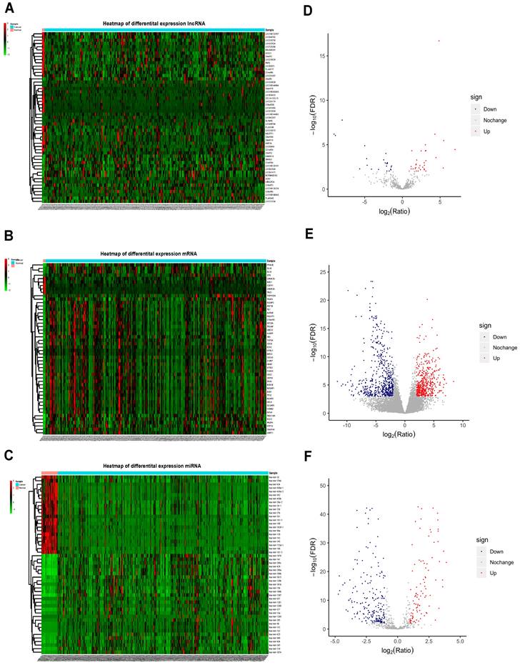 Int J Med Sci Image
