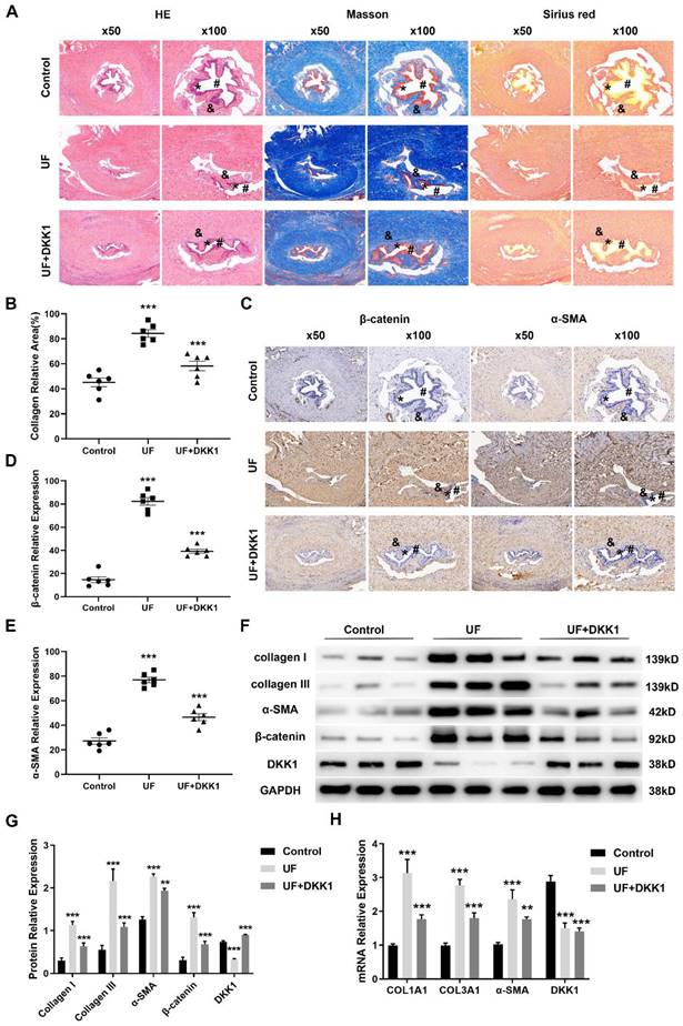 Int J Med Sci Image