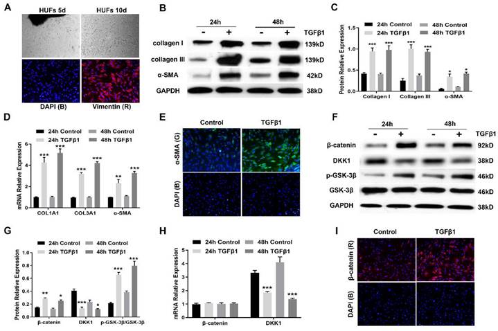 Int J Med Sci Image