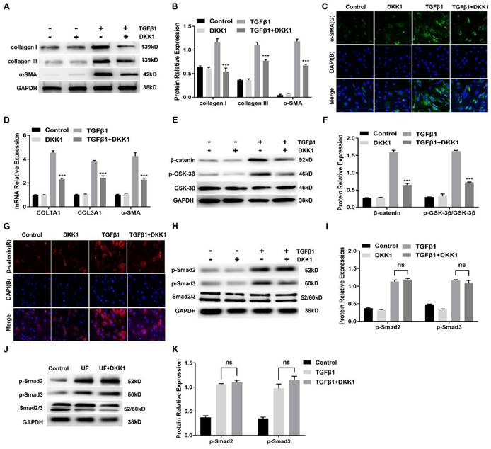 Int J Med Sci Image