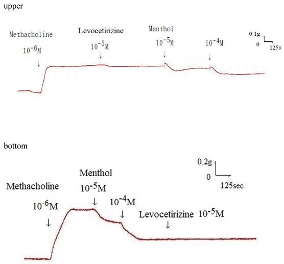 Int J Med Sci Image