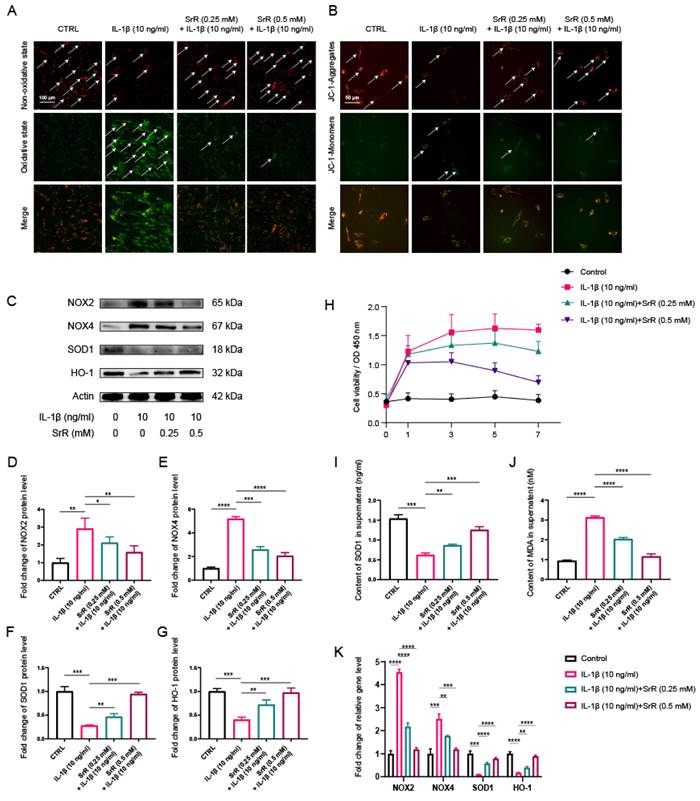 Int J Med Sci Image