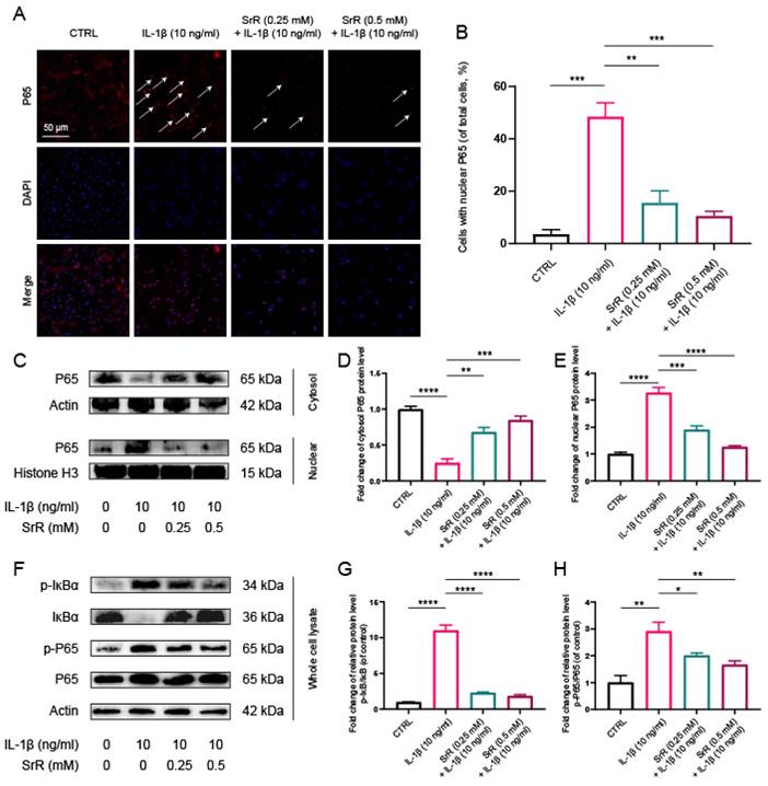 Int J Med Sci Image