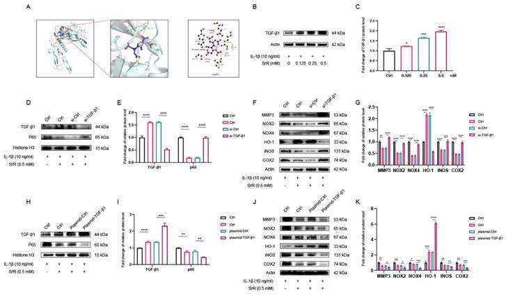 Int J Med Sci Image