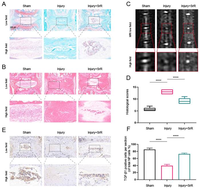 Int J Med Sci Image