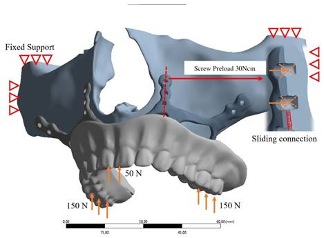 Int J Med Sci Image