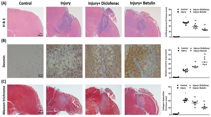 Int J Med Sci Image