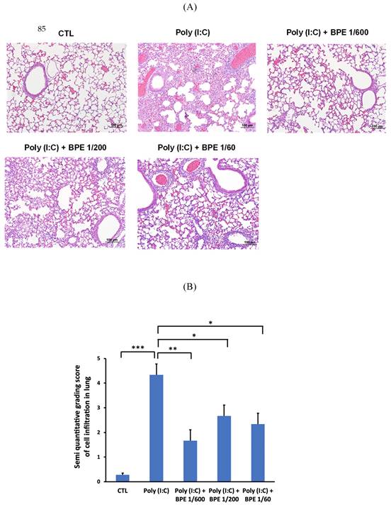 Int J Med Sci Image