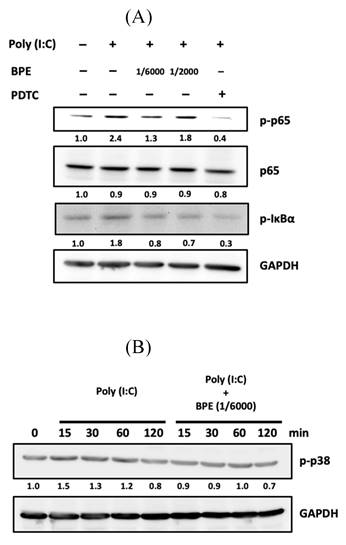 Int J Med Sci Image