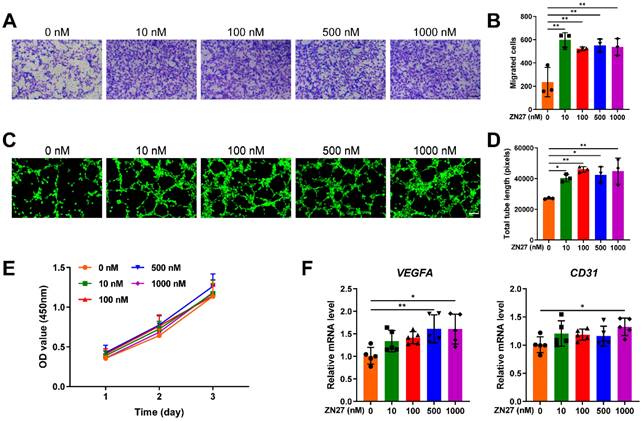 Int J Med Sci Image