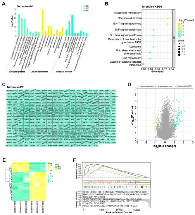 Int J Med Sci Image