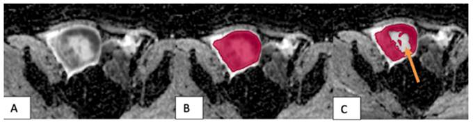 Int J Med Sci Image