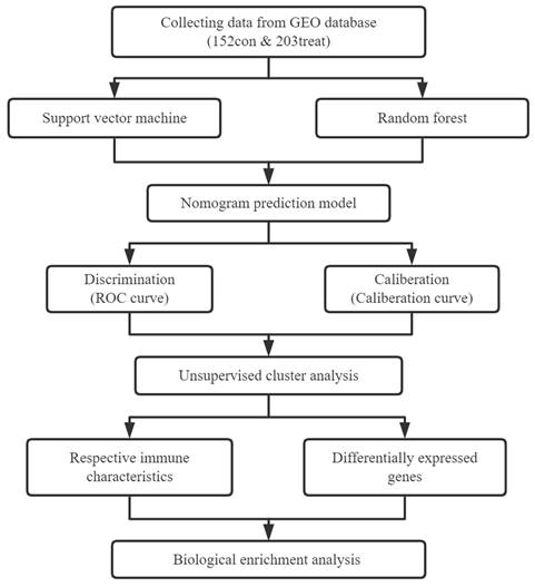 Int J Med Sci Image