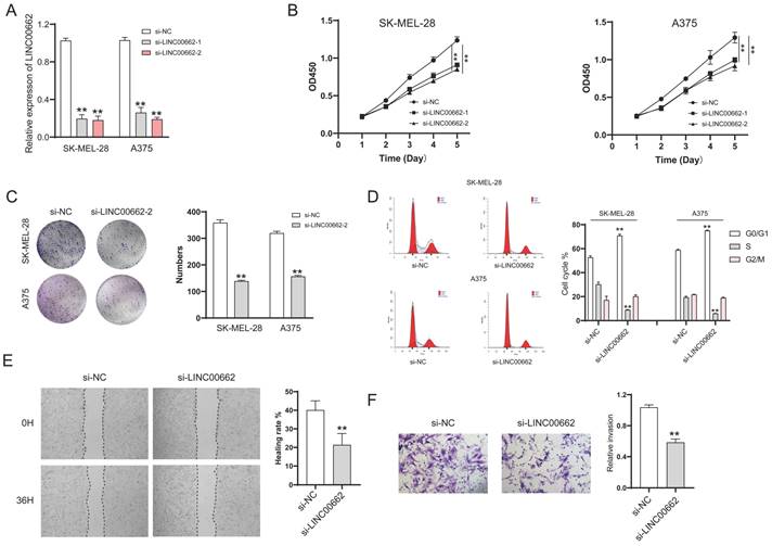 Int J Med Sci Image