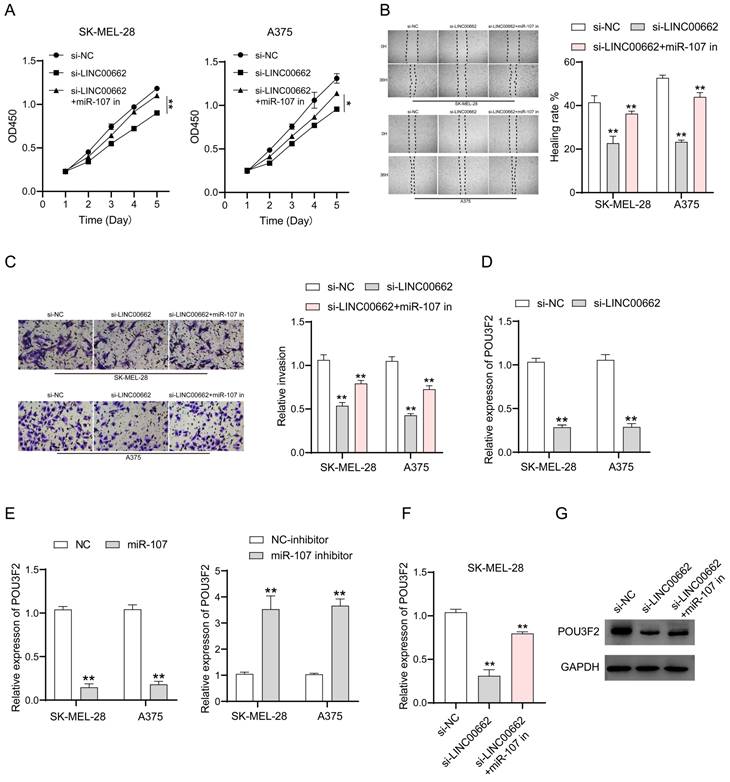 Int J Med Sci Image