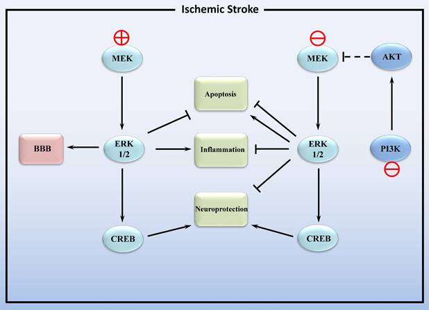 Int J Med Sci Image