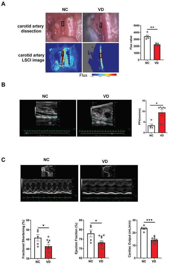 Int J Med Sci Image