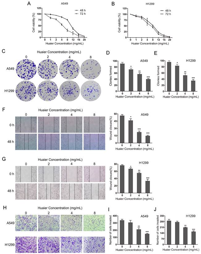 Int J Med Sci Image