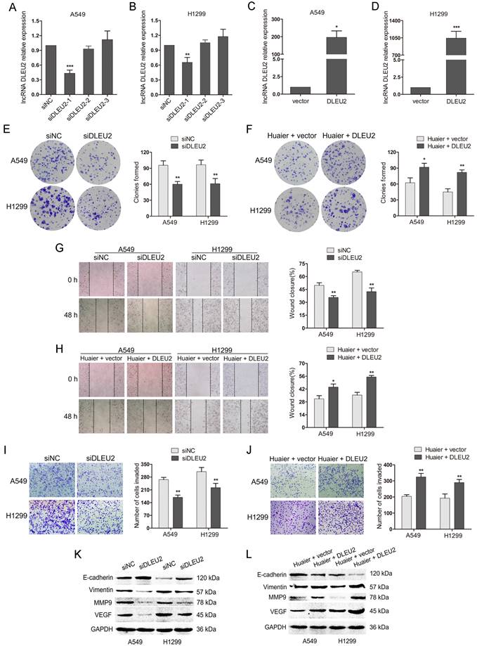 Int J Med Sci Image