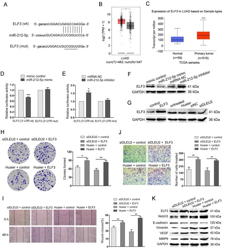 Int J Med Sci Image