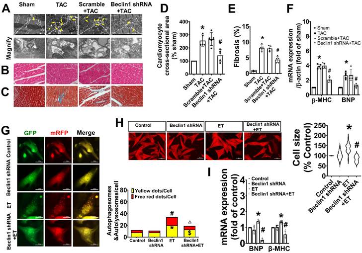 Int J Med Sci Image