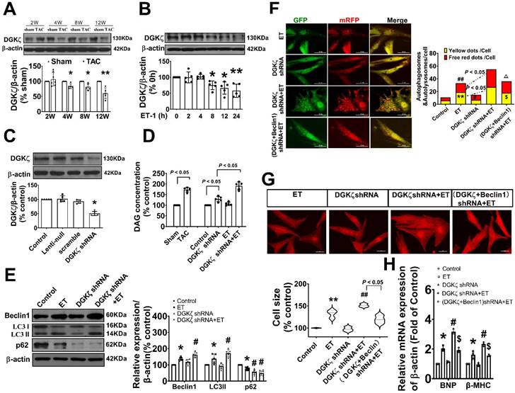 Int J Med Sci Image